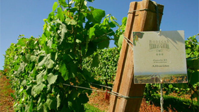 Terras Gauda participa en un proyecto sobre viticultura avanzada