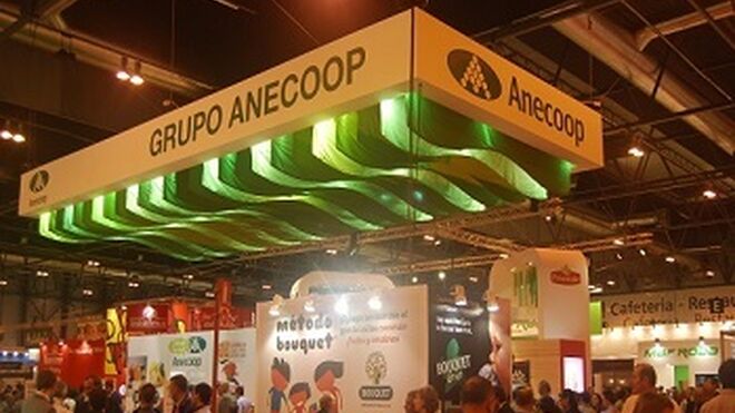 Anecoop facturó 546 millones de euros en su campaña 2013-14