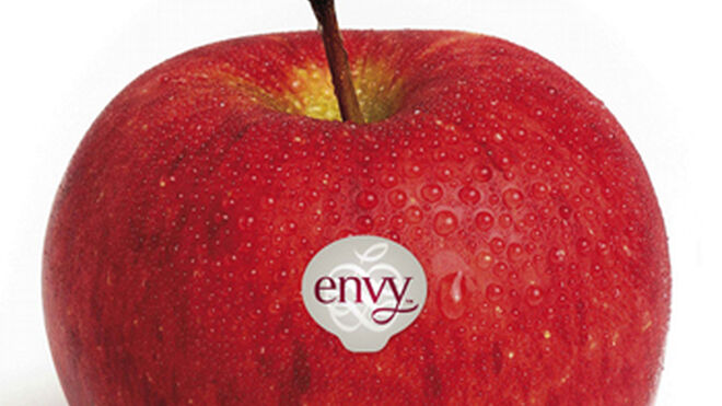 Enza prevé vender 100.000 toneladas de manzana Envy en 2020