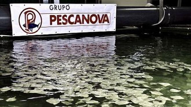 La banca inyectará 150 millones en octubre a Pescanova