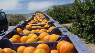 Las exportaciones agroalimentarias crecieron el 4% en el primer trimestre