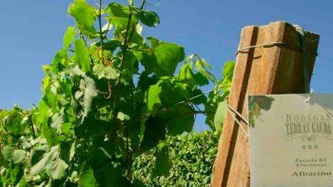 Terras Gauda participa en un proyecto de viticultura de precisión