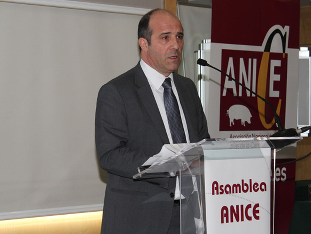 Carlos Serrano, presidente de Anice, durante su discurso en la asamblea de la asociación