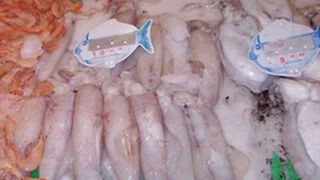 La UE avisa a Italia sobre el blanqueo de pulpos o calamares