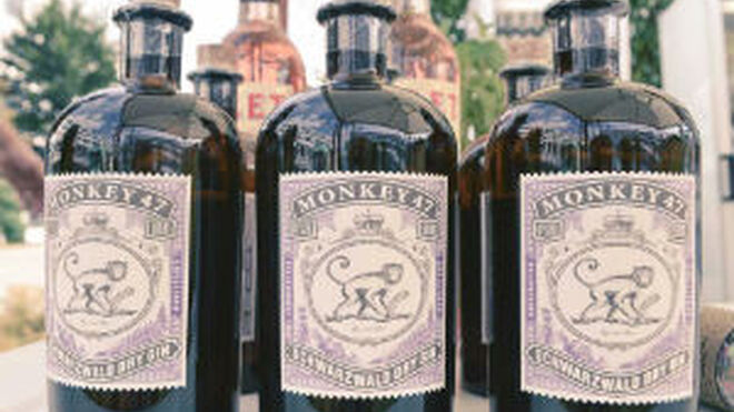Pernod Ricard España se hace con la distribución de Monkey 47 Gin