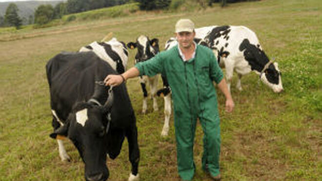 Los ganaderos se enfrentan a Lactalis por el precio de la leche