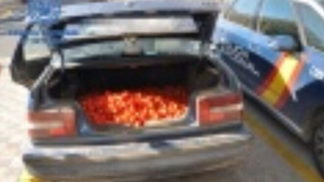Intervenidos miles de tomates tóxicos 'destinados' a mercadillos