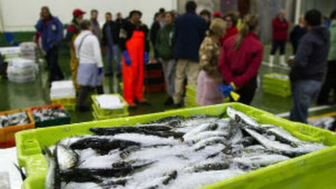 Hacienda registra 21 lonjas de pescado de cinco comunidades