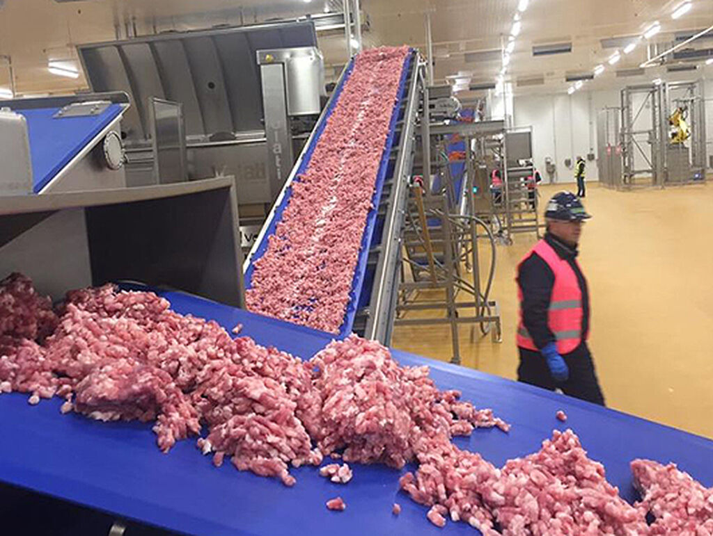 Procesado de carne ya en marcha en Campofrío