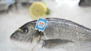 ¿Es posible que un pescado tenga ‘marca España’?