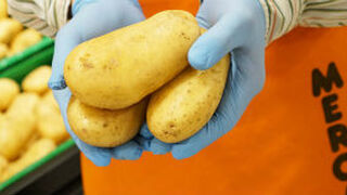 Mercadona inicia la campaña de patata española