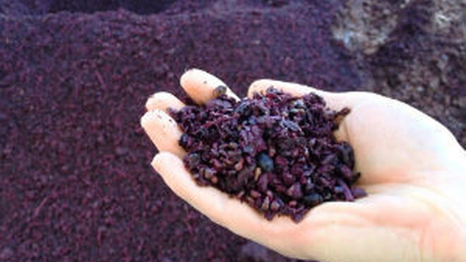 Matarromera analiza las aplicaciones de nuevos compuestos del vino