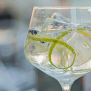 El gin-tonic sigue en boga, aunque sin tanta fruta y especia, y toma impulso el tequila