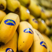 El precio del plátano ha bajado un 35% desde mediados de 2022