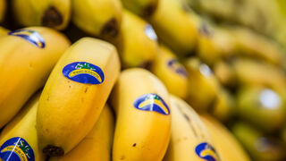 El sector del plátano acusa al Gobierno de abandono en plena crisis del volcán de La Palma