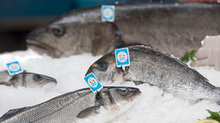 El 77% de los consumidores lee la etiqueta del pescado