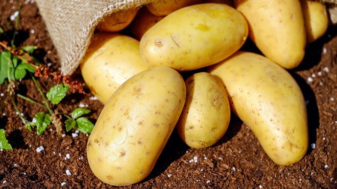 Los agricultores acusan a la distribución de vender patata como si fuera nueva sin serlo