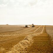 Hacia un nuevo modelo agroalimentario europeo