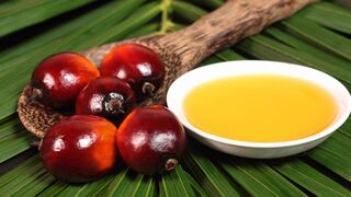 Últimos avances para sustituir los aceites de palma