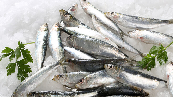 Primeros casos de anisakis incluso en pescado congelado