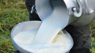 Francia continuará con el etiquetado obligatorio de origen para leche y carne