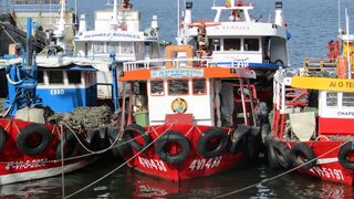 La Covid-19 pasa factura a la pesca española por desplome de la hostelería