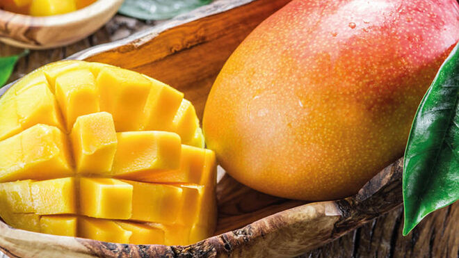 Mercadona ha comprado 3.000 toneladas de mango en Málaga