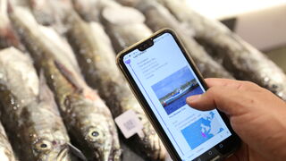 Carrefour dispara su blockchain y alcanza el pescado fresco