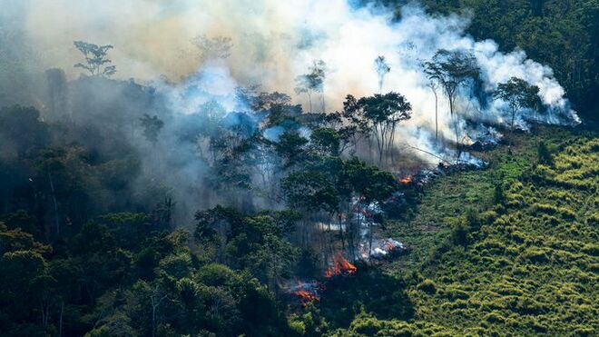 El incendio del Amazonas provoca una ola de reacciones contra el consumo de carne