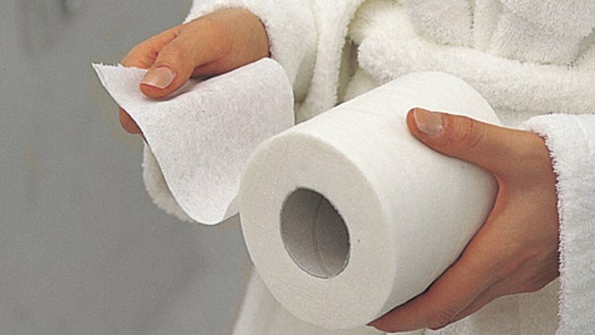 Comprar Papel higienico acolchado scot en Supermercados MAS Online