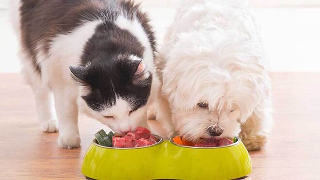 La Eurocámara aprueba nuevas normas sobre etiquetado de comida orgánica para mascotas