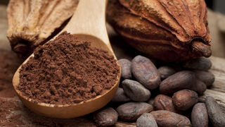 El cacao natural mejora la atención y la concentración en niños y adolescentes