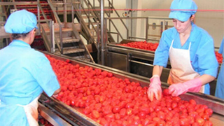Fiab impulsa la actividad industrial alimentaria en Andalucía