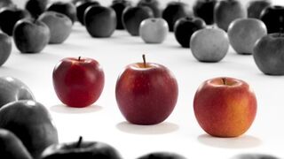 Los consorcios VOG y VIP presentan tres nuevas variedades de manzanas