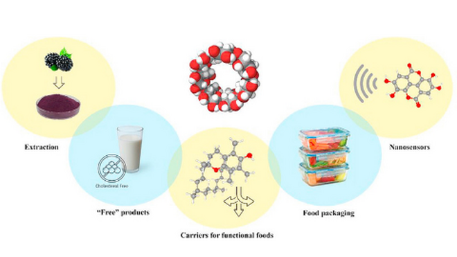 Las ciclodextrinas pueden aportar múltiples propiedades a los alimentos funcionales