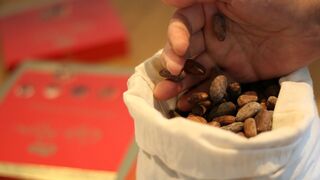Nestlé utilizará cascarilla de cacao para producir energía verde