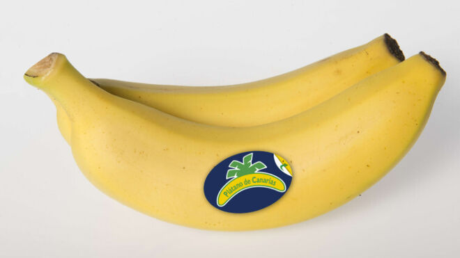 Los productores de Plátanos de Canarias celebran la aprobación de la 'enmienda canaria'