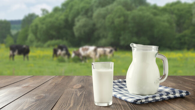 Los falsos mitos de que la leche causa mocos, asma y alergia bajan su consumo
