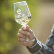 La D.O. Rueda consolida su liderazgo en el segmento de vinos blancos con un 41,8% de cuota de mercado