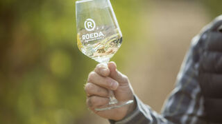 La D.O. Rueda consolida su liderazgo en el segmento de vinos blancos con un 41,8% de cuota de mercado