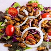 El consumo de insectos ya se ve como una fuente de alimentación para el futuro
