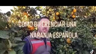 Naranjas españolas vs. sudafricanas: la lucha de los agricultores contra la 'invasión' de los pesticidas
