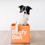 Dogfy Diet triplica su facturación en 2022