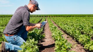 El sector hortofrutícola inicia 2022 con "incertidumbre" por los costes y la normativa