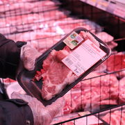 Alcampo pone a la venta cerdo ibérico de bellota fresco por tiempo limitado
