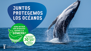 BRITA vuelve a unir fuerzas con la ONG Whale and Dolphin Conservation (WDC) en su lucha contra el cambio climático