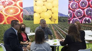 Fruit Attraction prevé la participación de 1.800 empresas y 42 países