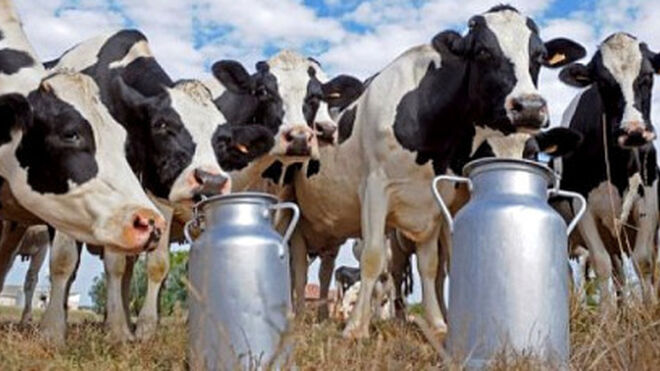 El 57% de los españoles prefiere alternativas vegetales a los lácteos