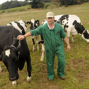 Los ganaderos se alían contra las lácteas por pactar precios