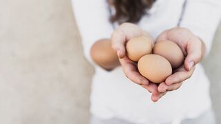 El gasto de los españoles en huevos consolida su tendencia al alza